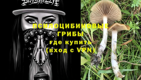 тгк Баксан