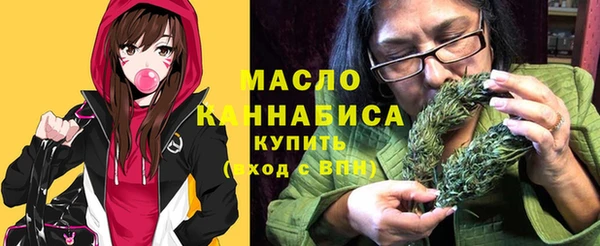 дживик Козельск