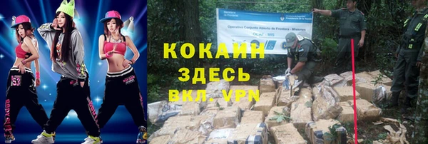 МДПВ Козловка