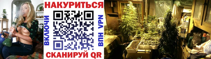Бошки марихуана тримм  Купить закладки  Александровское 